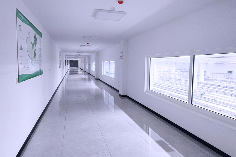 LandVac vacuum insulated glass used in Muyuan, Henan